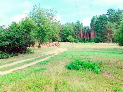 Działka z WZ 760m2 Piasek gm. Cedynia, las, rzeka Odra