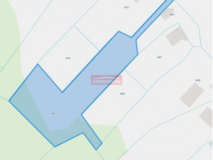 Olszowice, z widokiem na las