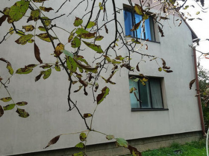 Dom Niepołomice, Na Tamie