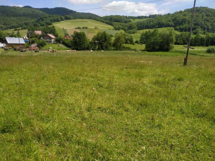 Budowlana działka w gminie Solina