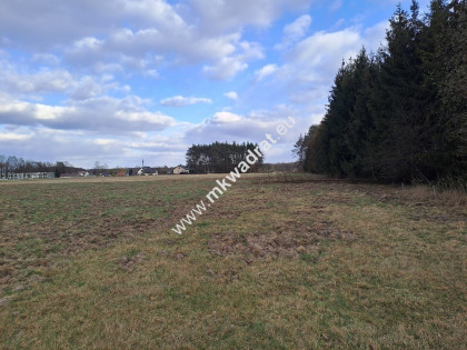 Budowl  jednorodz 2-lokalowe MPZP pod lasem