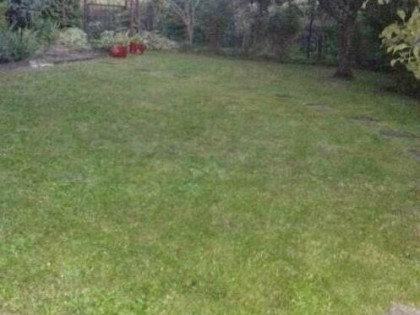 Sprzedaż prawa do dzierżawy działki ROD w Warszawie- Zacisze