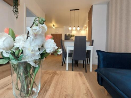 ✅Sprawdź >>>Stylowy apartament z widokiem na park✅