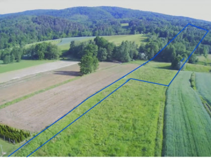 Działka w Lipnicy Dolnej - 99 arów