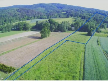 Działka w Lipnicy Dolnej - 99 arów