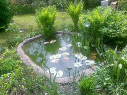 Ogród działkowy ROD 230m Będzin Górki Małobądzkie