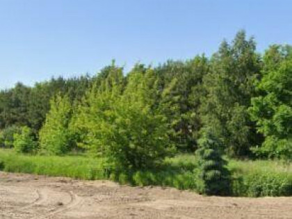 Działka budowlana 1,3 ha gm. Ożarów Maz.