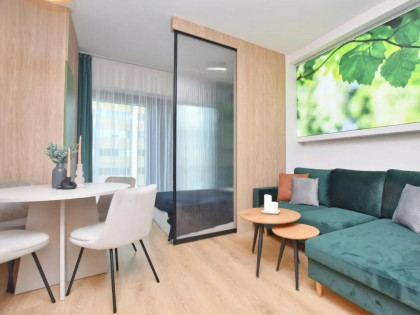 Sprzedam mieszkanie 27m Katowice, GLOBAL Apartments, Zabrska, 21 piętro, PREMIUM