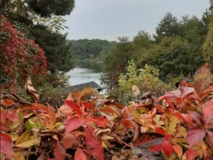 Działka rekreacyjna 1014 m2, blisko jeziora, obok Chodcza