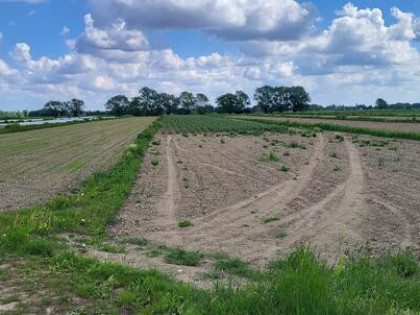 Kraków, Nowa Huta, działka 44a,brak MPZP