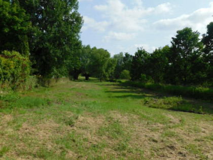 Działka budowlana Szymanów gm. Góra Kalwaria, Szymanów
