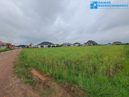 Prężnie rozwijająca się  okolica