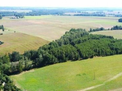 Wargowo - Działki rolne, BEZPOŚREDNIO
