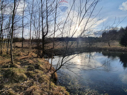 Działka budowlano usługowa – przy lesie.