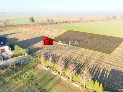 Działka Bolesławice