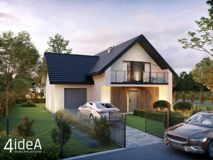 Domy w środku Lasu.