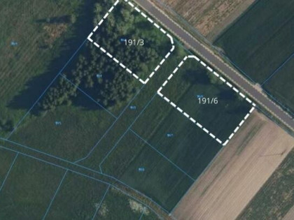 Złotopolice, Działki, BEZPOŚREDNIO