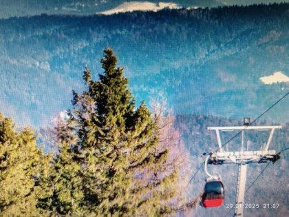 Działka w pobliżu Krynicy