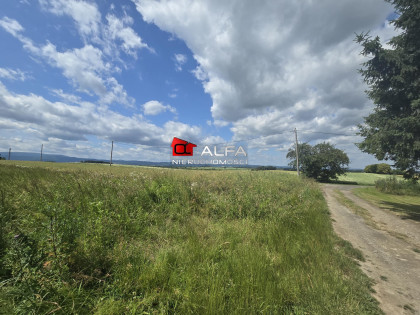 Działka Krzczonów ul. Cicha okolica