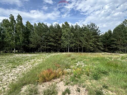 Atrakcyjna działka budowlana w otoczeniu lasu.