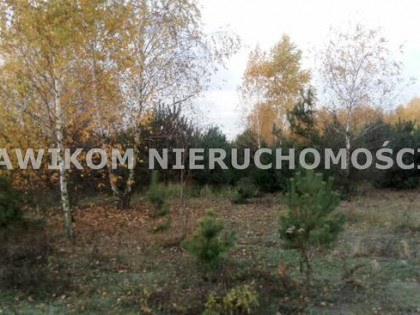 Działka budowlana Adamów-Wieś gm. Radziejowice