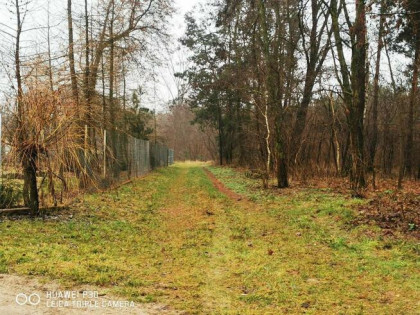 Działka pod zabudowę 2000 m2- Mingosy!