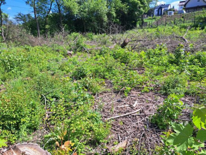 Działka usługowa Słomniki