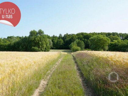 Wyjątkowa działka z pozwoleniem na budowę -1,48 ha