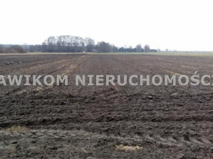 Działka siedliskowa Guźnia gm. Łowicz