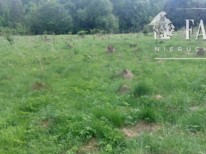 Siary, działka rolna, 1149S/2025