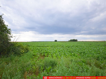 Atrakcyjna działka usługowa, media, blisko Lublina