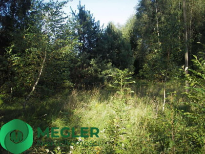 Ciekawa działka w cichej okolicy