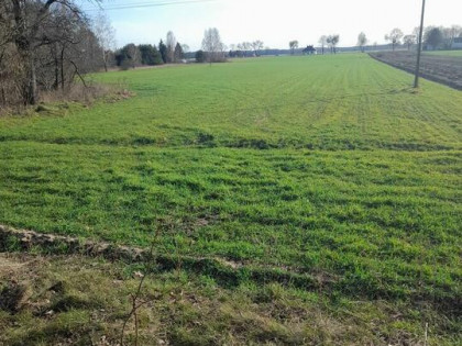 Działka rolno-budowlana niedaleko Widawy