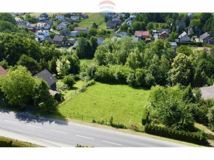 Działka budowlana - Sprzedaż - Czaniec Polska