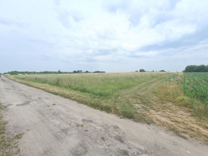 Działka Tąpkowice ul. Brynicka