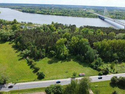 PŁOCK – GRABÓWKA – DZIAŁKI ZE ŚCIANĄ LASU