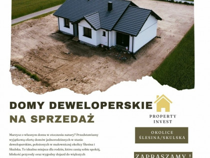 Domy deweloperskie – Okolice Ślesina, Skulska