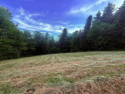 Działka w Bieszczadach - Wołkowyja!