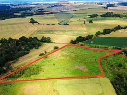 Działka Rolna Na Sprzedaż