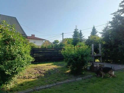 Działka budowlana z zabudowaniami ul.Mickiewicza/Miechocin