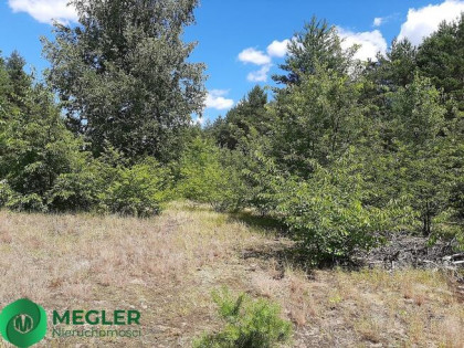 Działka rekreacyjna z prawem zabudowy