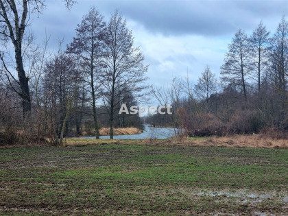 Działka Białobrzegi