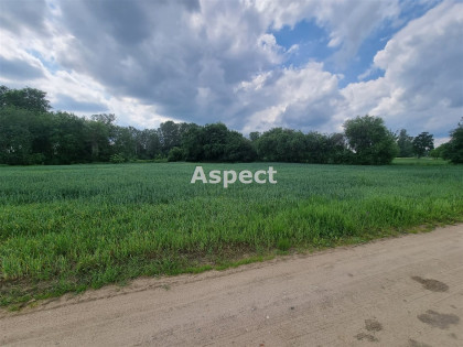 Działka Białobrzegi