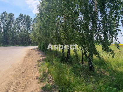 Działka Stare Boryszewo