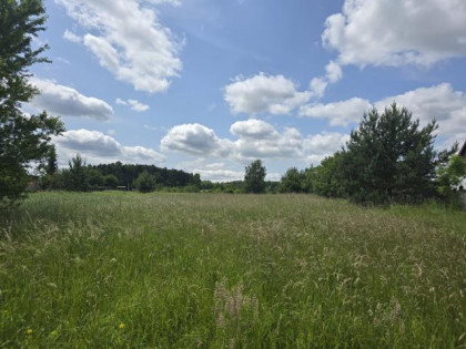 Działka Dąbrowa Górnicza Okradzionów