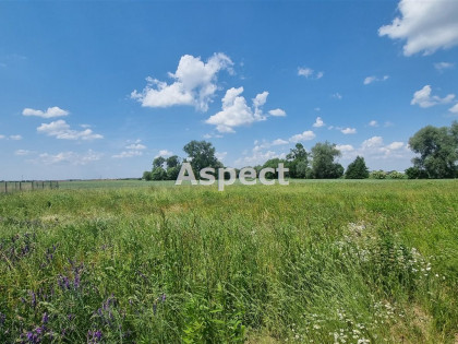 Działka Stróżewko