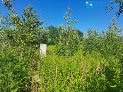 działka 950m2 w Falentach Nowych