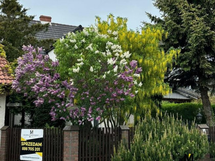 Dom Grzybowo gm. Kołobrzeg, Zakole