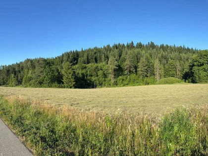 Działka budowlana - Berezka, Bieszczady