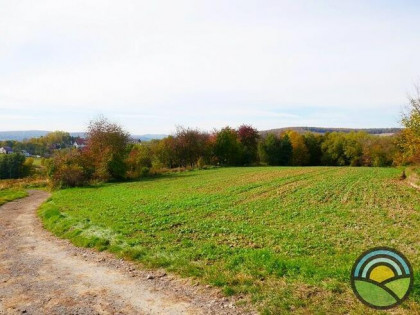 Radwanowice gm. Zabierzów - widokowa 53-arowa działka rolna